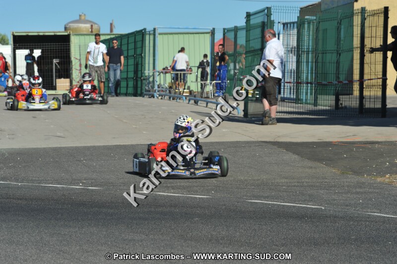 DSC (2419).JPG